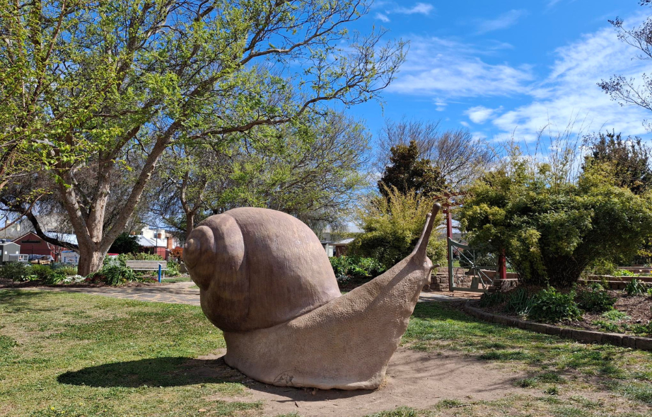 Event - Nature Book Week - snail